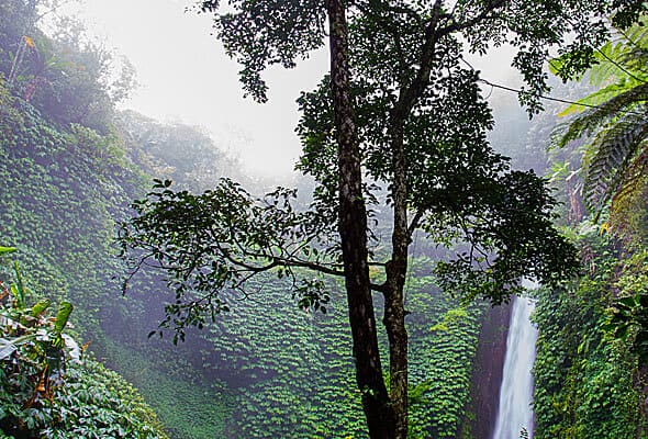 Certification Programs img 07 free img